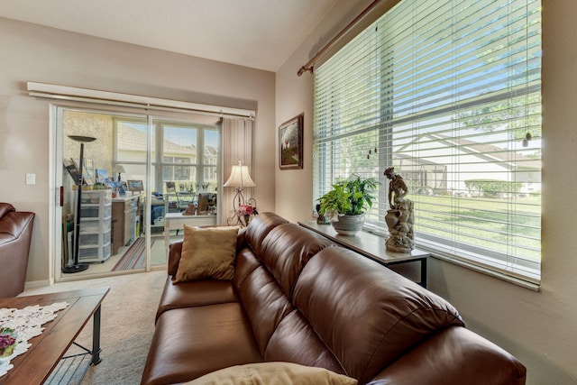 living room with lofted ceiling and plenty of natural light