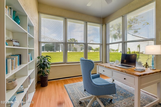 office featuring ceiling fan and light hardwood / wood-style flooring