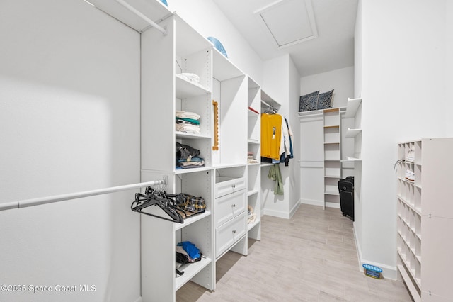 walk in closet with light wood-type flooring