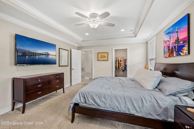 carpeted bedroom with ceiling fan, a raised ceiling, a closet, a walk in closet, and crown molding