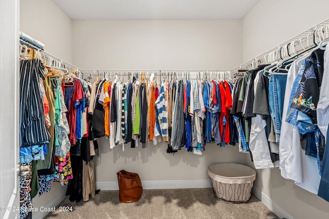 spacious closet featuring carpet flooring