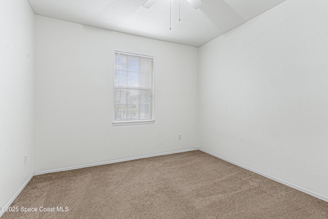 spare room featuring ceiling fan and carpet flooring