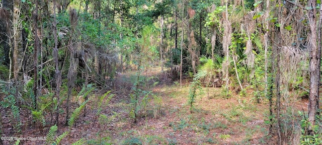 Listing photo 3 for 000 Mario Ave, Cocoa FL 32926