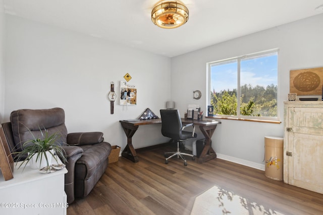 office with dark wood-type flooring