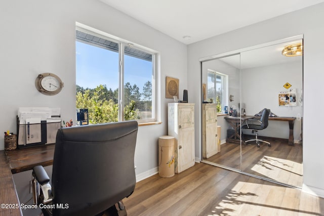 office featuring hardwood / wood-style flooring and a healthy amount of sunlight