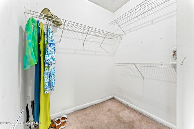 spacious closet featuring carpet floors