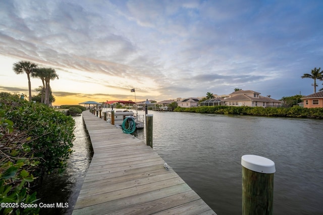 dock area with a water view