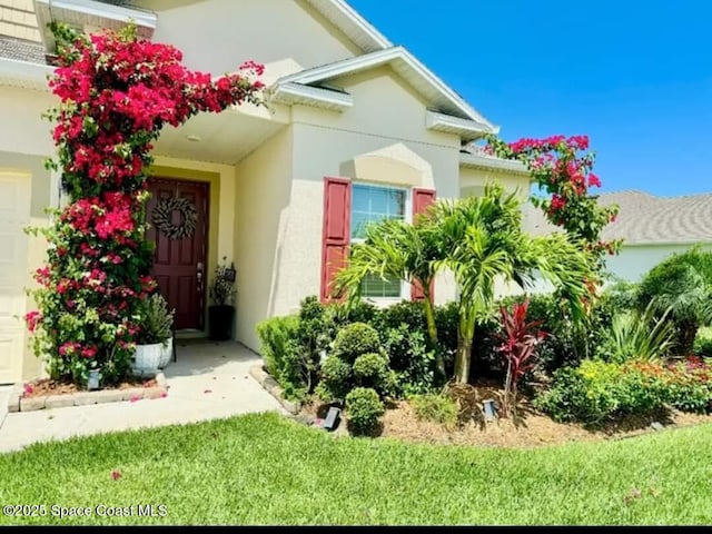 property entrance with a yard