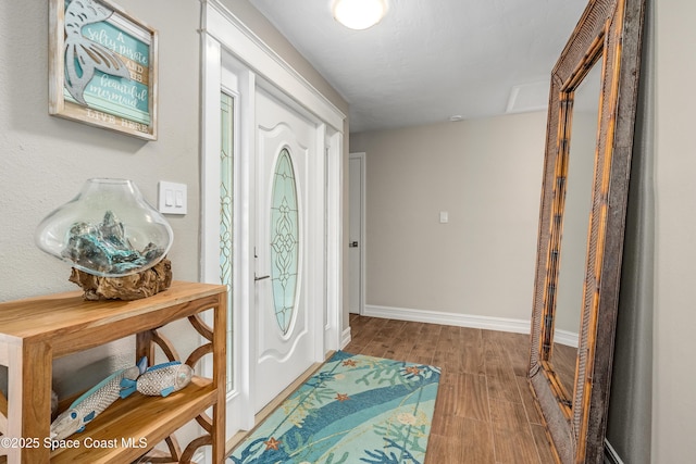 foyer with wood-type flooring