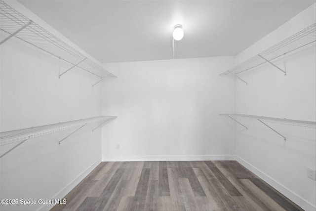 walk in closet with hardwood / wood-style floors