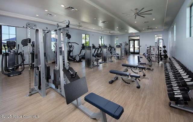 workout area with ceiling fan and light hardwood / wood-style flooring