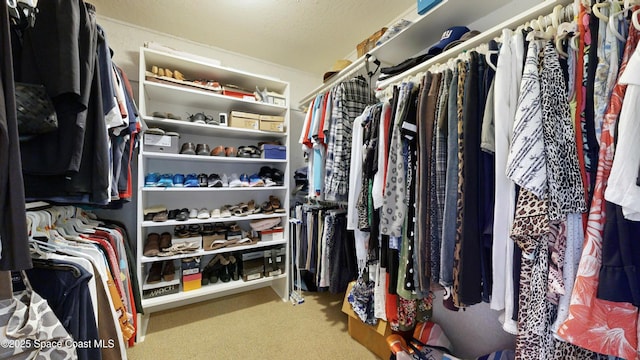 spacious closet with carpet