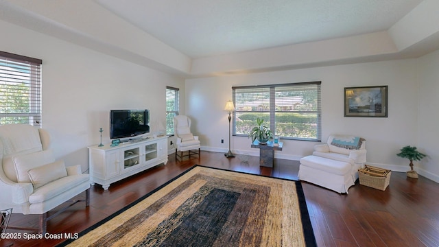 living room with dark hardwood / wood-style floors and a tray ceiling