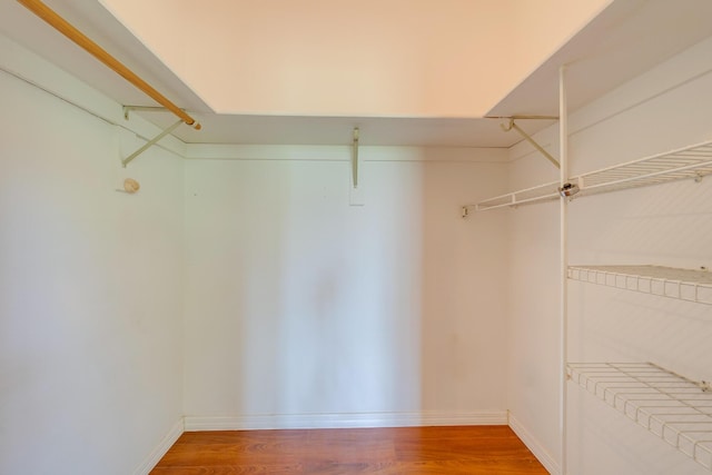 spacious closet with hardwood / wood-style floors