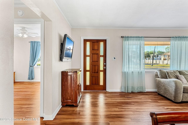 entrance foyer with ceiling fan, crown molding, and hardwood / wood-style floors