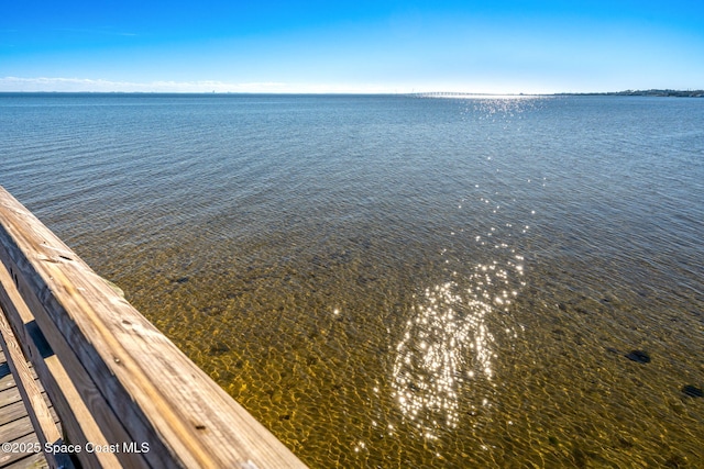 112 Delespine Ave, Titusville, FL 32780 - photo 59