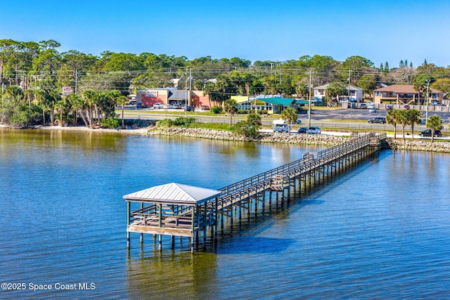 dock area with a water view