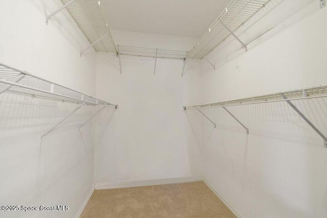 spacious closet with light colored carpet