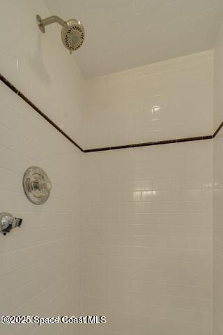 interior details featuring tiled shower