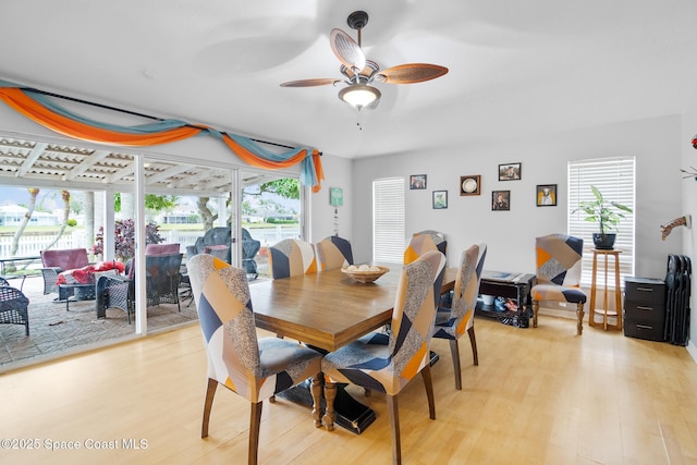 dining area with ceiling fan and light hardwood / wood-style flooring