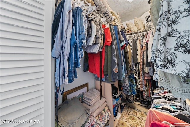 spacious closet featuring hardwood / wood-style floors