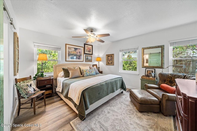 bedroom with light hardwood / wood-style floors, multiple windows, and a textured ceiling