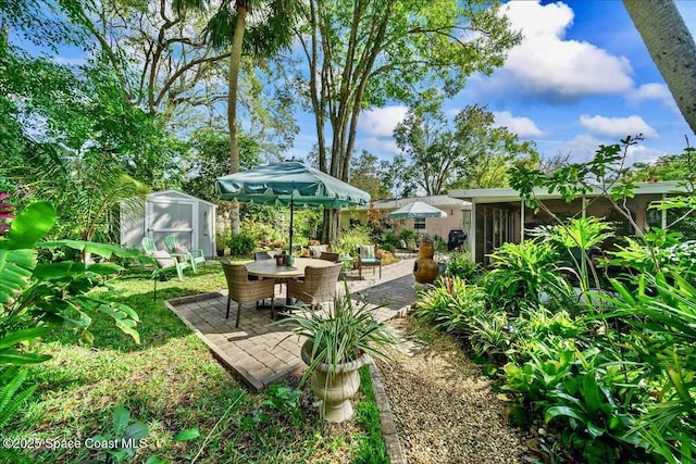 view of yard with a patio and a storage shed