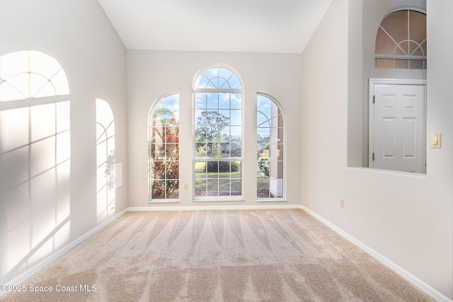 unfurnished room with carpet