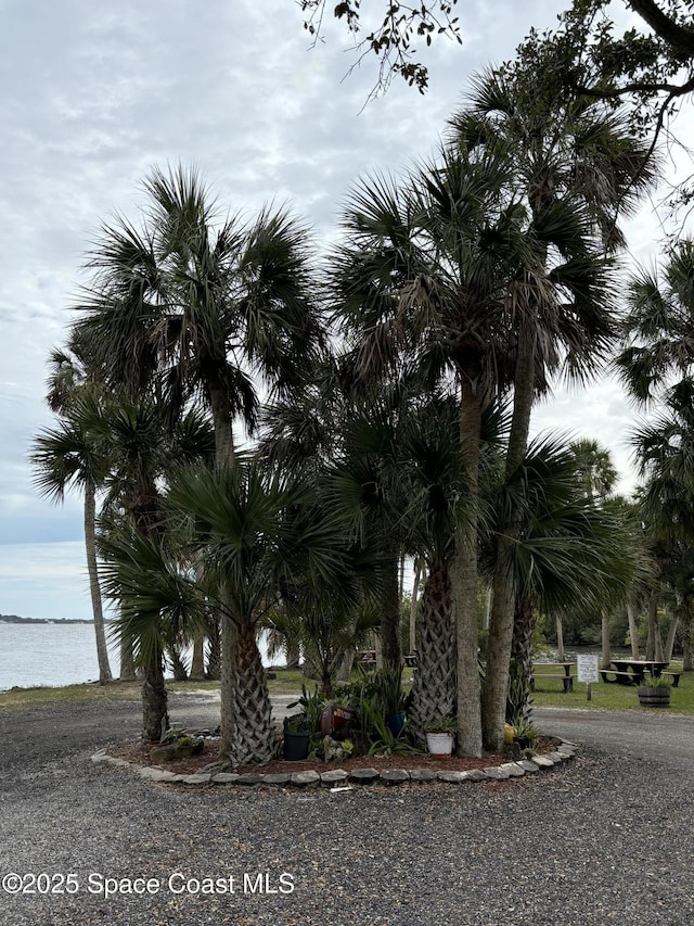 view of community featuring a water view