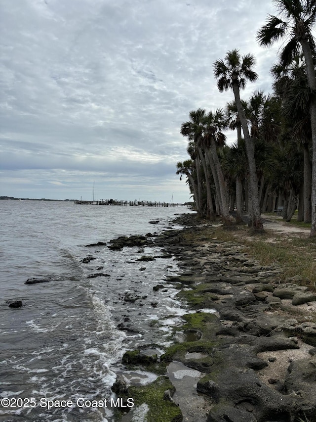 property view of water