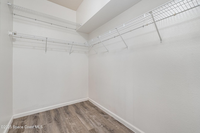 walk in closet with wood-type flooring