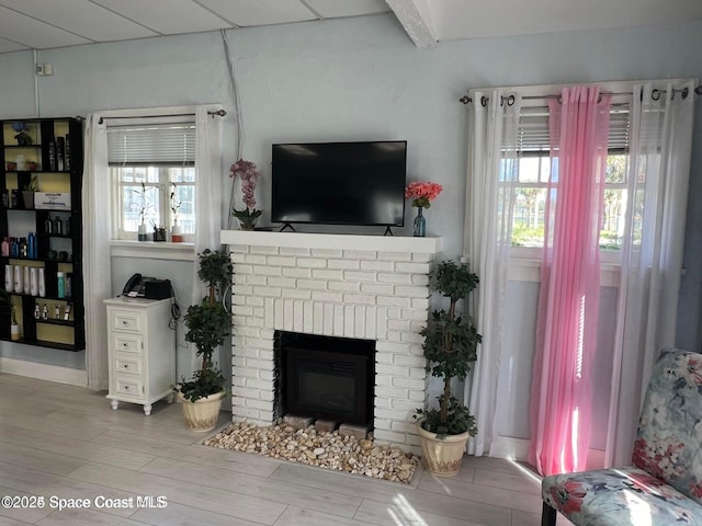 living room featuring light wood-type flooring and a fireplace