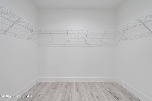 spacious closet featuring light hardwood / wood-style flooring