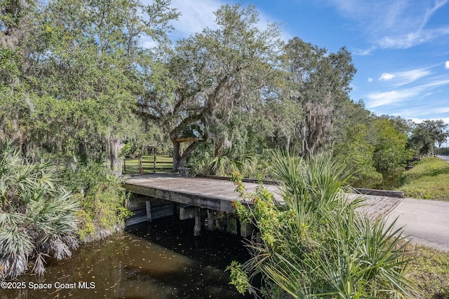 view of property's community featuring a water view and a boat dock