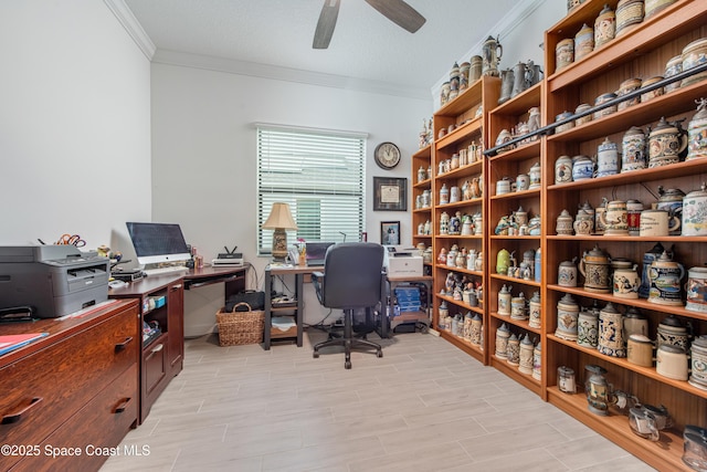 office area featuring ceiling fan, light hardwood / wood-style floors, a textured ceiling, and ornamental molding