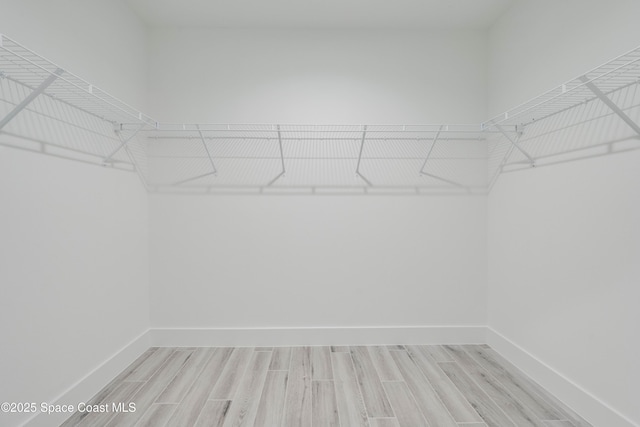 walk in closet featuring light hardwood / wood-style floors