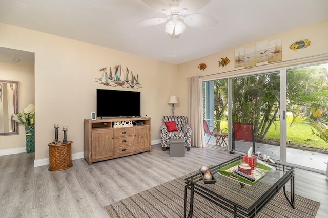 living room featuring ceiling fan and light hardwood / wood-style flooring