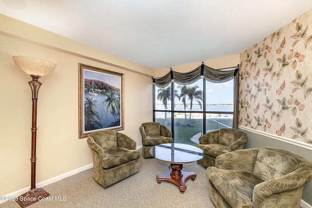 sitting room with carpet