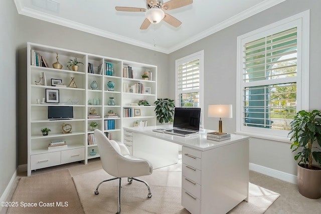 carpeted home office with ceiling fan and ornamental molding