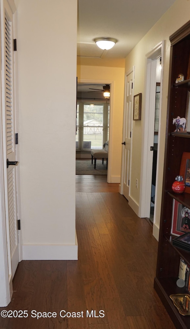 hallway with dark wood-type flooring