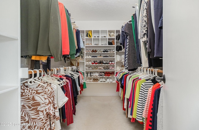 view of spacious closet