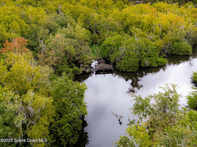 drone / aerial view with a wooded view and a water view