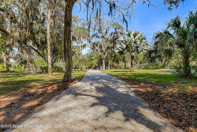 view of home's community with a lawn