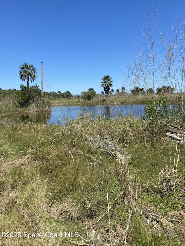 2550 Canvasback Trl, Geneva FL, 32732 land for sale