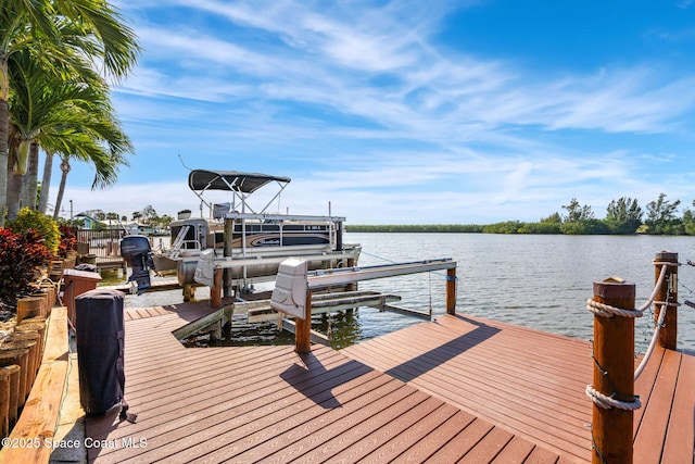 dock area with a water view