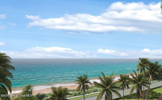 view of water feature featuring a view of the beach