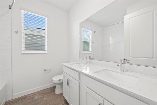 bathroom with toilet and vanity