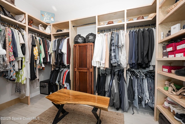 view of spacious closet