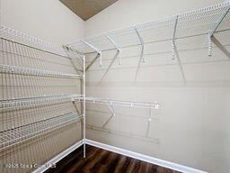 spacious closet with hardwood / wood-style flooring