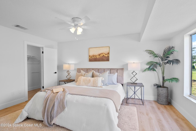 bedroom with ceiling fan, a walk in closet, a closet, and light wood-type flooring